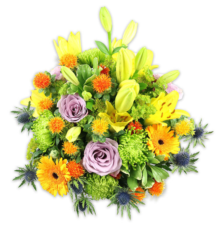 Presented against a crisp white background, this abundant bouquet reads as a study in warm tones and tactile contrasts-an arrangement a local customer might choose for a party on a sunny terrace near Romford Road. Golden-yellow Asiatic lilies form the vertical drama: some fully open and freckled at their throats, others standing as pointed buds that add graceful height. Pale lavender roses are placed centrally, their soft, powdery petals unfolding in tight spirals that calm the composition and invite lingering scent. Vivid orange Gerbera daisies scatter across the dome of flowers, their bold, flat faces and darker centres creating immediate focal points. Bright, chartreuse-green button chrysanthemums supply a plush, textured base, their dense clusters resembling soft pom-poms that give the bouquet its lush volume. Tiny, spherical orange and yellow accent blooms with a slightly prickly texture introduce playful, concentrated pops of colour. The cool architectural note comes from several indigo-blue sea thistles (Eryngium) whose star-like bracts and steelier tones sit toward the edges, lending modern contrast to the otherwise warm palette. A layered assortment of foliage-broad lily blades, glossy oval leaves and fine filler-threads through the design, softening edges and creating depth. Bathed in neutral light, the piece conveys celebration, comfort and refined cheer; it works as a birthday gift, a thank-you present, or a sympathetic bouquet for quieter moments. Its balance of scent, colour and texture reflects the hands of an experienced florist familiar with local tastes around Gidea Park and nearby Romford markets.